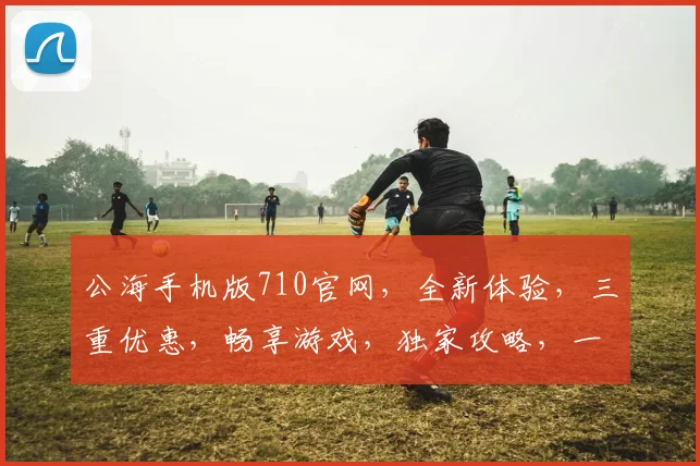 公海手机版710官网，全新体验，三重优惠，畅享游戏，独家攻略，一网打尽